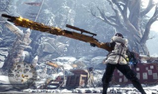 怪物猎人冰原重弩炮推荐（怪物猎人冰原重弩最强流派）