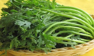 莒蒿的营养价值（莒蒿的营养价值高吗）