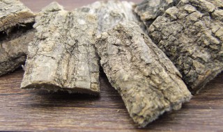 杜仲草药有什么功效与作用（杜仲的药用功效是什么）