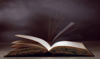 石灰吟作者是哪代诗人 石灰吟作者是哪代诗人写的