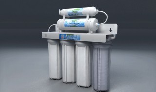 净水器的淲芯怎样清洗 净水器芯子怎么清洗