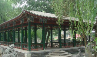 回廊亭什么时候播出（回廊亭什么时候播出更新）