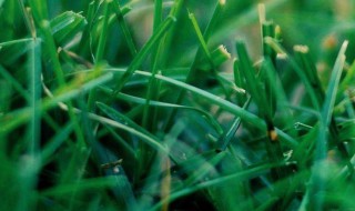 三月属于哪一个季节 三月属于什么节气