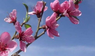 阳历三月底是什么季节 阳历三月底是什么时候