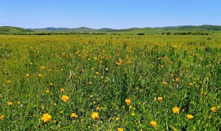 5到七月什么季节(五月到七月是什么)