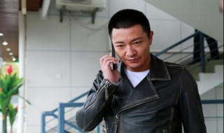 齐雁南警察什么电视剧 电视剧谜砂第44集全集播放