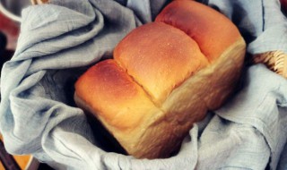 波兰种和中种面包的区别（中种面包和波兰种有什么区别）