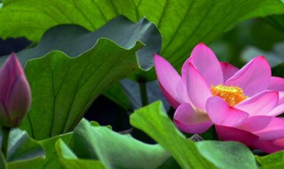 六月份七月份是什么季节（6月份7月份）