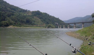 海杆怎样钓浮（海杆怎样钓浮漂）