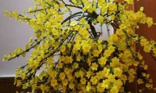 春天最早什么时候开花 春天最早开花的树是什么树