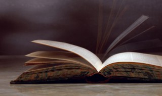 保护环境从小事做起的好句子有哪些（保护环境,从小事做起的心得体会）