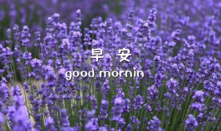 温馨短信问候语（温馨的问候短信）