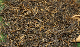 金骏眉为什么叫金骏眉 为何叫金骏眉