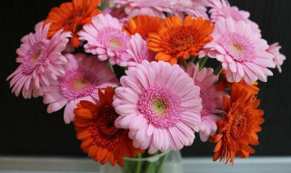 经典的贺语语句大全（经典的贺语语句大全简短）