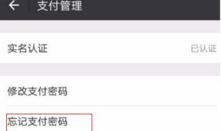 怎么查看微信支付密码（怎么查看微信支付密码而不更改）