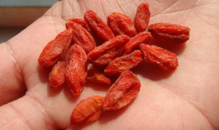 鲜枸杞冻干怎么吃 鲜枸杞冻干怎么吃好吃