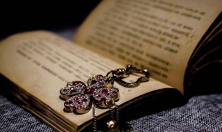 梦不曾淖是什么意思 不曾入梦来的诗