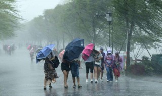 狂风暴雨是指春夏秋冬哪个季节 狂风暴雨是指春夏秋冬哪个季节的景色