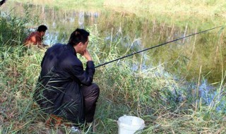 台钓中铅坠与鱼钩的距离多远合适 台钓中铅坠与鱼钩的距离多远合适用