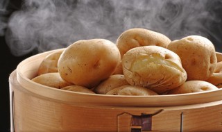 新土豆怎么做种子（新土豆怎么做种子呢）