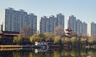 山东地区庭院绿化用什么树种比较好（山东地区庭院绿化用什么树种比较好呢）