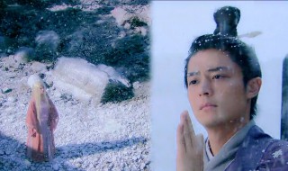 徐长卿为什么不养青儿(徐长卿为什么不救灵儿)