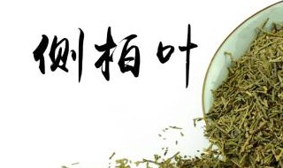 侧柏树叶是什么样子的(侧柏树叶是什么样子的)