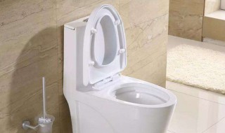 马桶异味怎么去除妙招（马桶反臭味彻底解决）