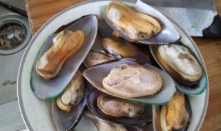 青口贝如何清洗 青口贝如何清洗内脏