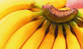 香蕉的维生素含量和功效（香蕉的维生素含量和功效是多少）
