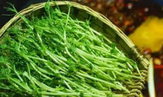 猪腰煮豌豆苗的功效(猪腰煮豌豆苗的功效与禁忌)