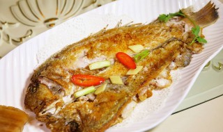 斋鱼的功效与作用（斋鱼的营养价值高吗）