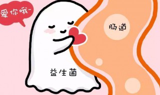 益生菌的用法与功效 益生菌的用法与功效禁忌