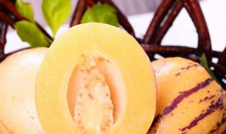 人参蒂头的功效与作用（人参蒂头治什么）