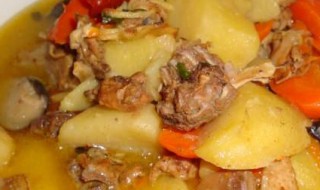 炖鸡肉一般炖多长时间(鸡肉怎么炖才好吃)