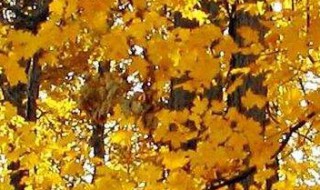 对生活感悟的简短说说 对生活感悟的简短说说句子