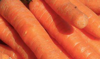 缺VA吃什么补得最快 缺va吃什么好