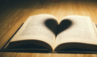 写给逆行英雄 写给逆行英雄的诗