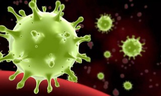 研究蝙蝠病毒有什么用 蝙蝠的研究价值