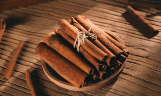 肉桂是什么样子的（肉桂哪里产的最好）