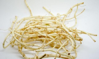 鱼腥草和车前草一起泡水喝的功效（鱼腥草和车前草一起泡水喝的功效与作用）