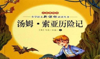 《汤姆索亚历险记》简单概括 汤姆索亚历险记故事梗概简写