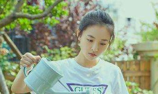 冰糖炖雪梨棠雪家在哪(冰糖炖雪梨棠雪家房子)