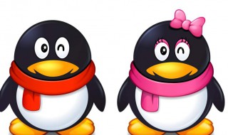 qq群冻结期怎么强行转让（qq群冻结期怎么强制转让群）