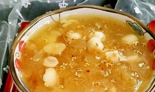 椰奶桃胶雪耳功效（椰奶桃胶雪耳的做法）