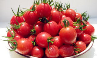 芒果可不可以和圣女果一起吃（芒果可不可以和圣女果一起吃呀）