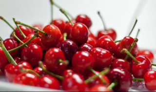 樱桃开花后多久能吃 樱桃开花了还能移栽吗