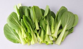 鸡毛菜是什么季节的蔬菜 鸡毛菜是什么菜?什么时候播种?