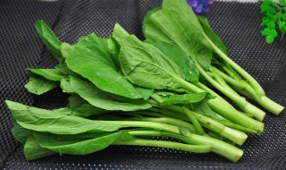 芥兰是什么季节种的（芥兰是什么季节种的植物）