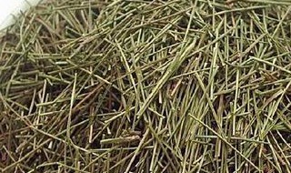 松针花茶的功效与作用 松针花有什么功效